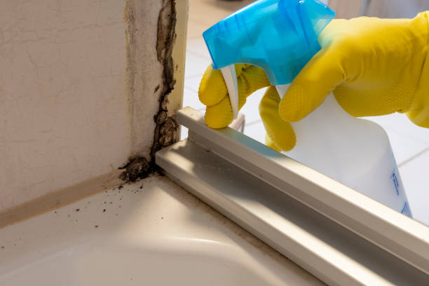 Best Certified Mold Removal  in Granite Falls, NC