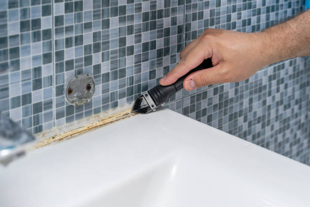 Professional Mold Removal in Granite Falls, NC