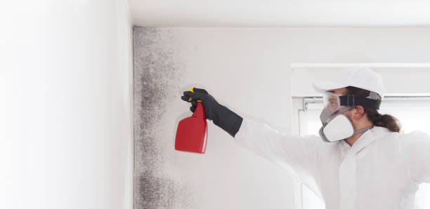Best Professional Mold Removal  in Granite Falls, NC