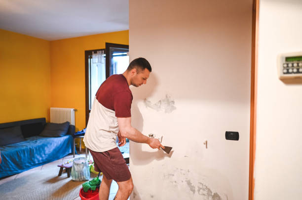 Best Mold Remediation  in Granite Falls, NC