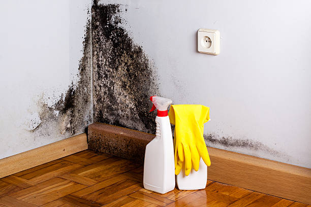 Best Residential Mold Removal  in Granite Falls, NC